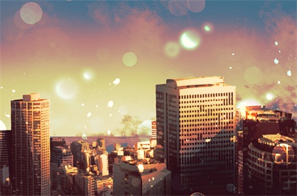 公司15