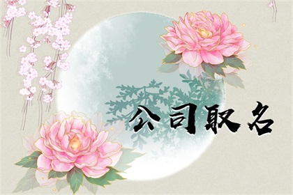 公司起名什么字不能用 