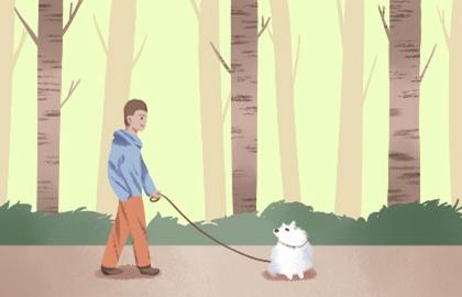 称骨几两几钱命最好