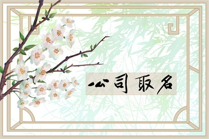 网络推广公司取名