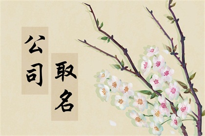 适用于起公司名的字