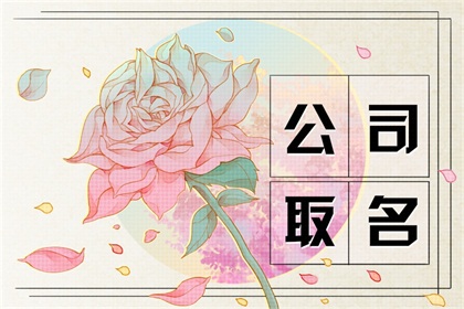 吉利又生僻的公司名