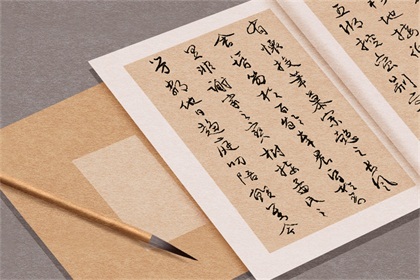 取贸易公司名字