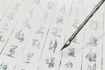 五行属木的字公司取名