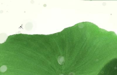 夏至后是什么节气