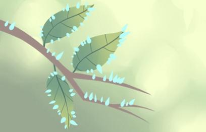 芒种节气的含义是什么