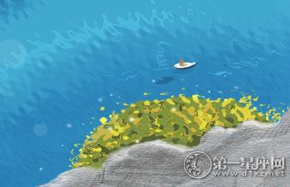 1997年涧下水命女孩缺什么