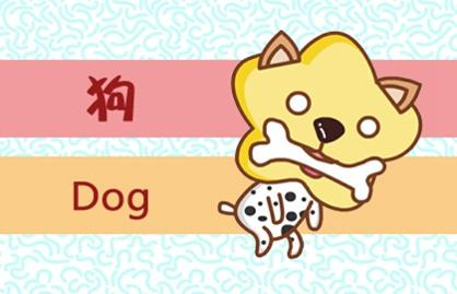 1994年属狗和1995年属猪可以在一起吗 