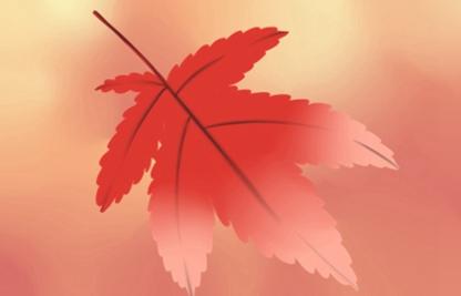 立秋节气的含义是什么意思