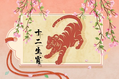 八六年属虎的女人婚姻 婚后荣华富贵
