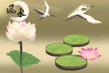 鱼缸摆放朝向 选好方向需重视