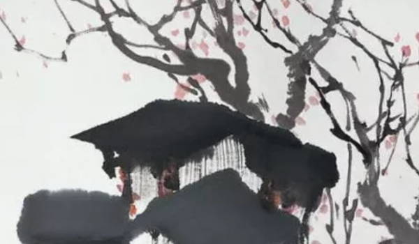 2021年财位摆放什么招财 旺财绿植或是五帝钱