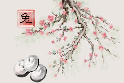 87年属兔最佳手机号码 吉祥数字各有千秋