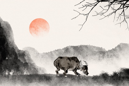 属牛巳时出生的男孩性格开朗事业成功幸福 八字网