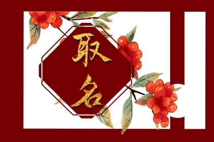 虎宝宝取名宜用字和忌 取合适好名方法