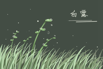 白露是几月份的节气 秋天的第三节气