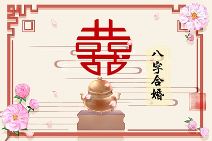 辛巳日柱女命运 身坐正印正官劫财