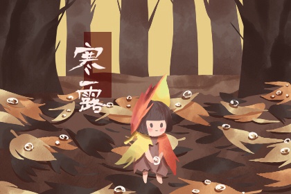 寒露三候菊有黄华 菊花因阳气开花 寒露三候菊有黄华 菊花因阳气开花