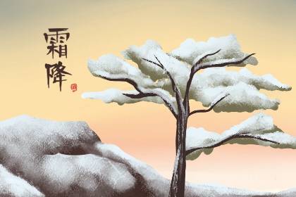 霜降吃丁柿,不会流鼻涕 适量食用身体好