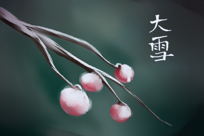 大雪节气二候虎始交 老虎开始有求偶行为