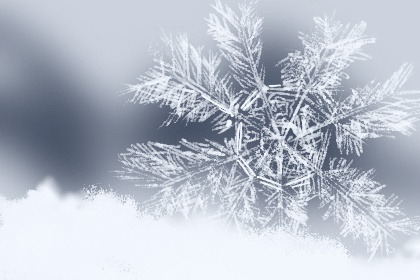 2021年小雪是几月几日 11月22日天气降温