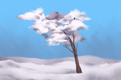 十月小雪雪满天来年必事 小雪下雪来年必丰收