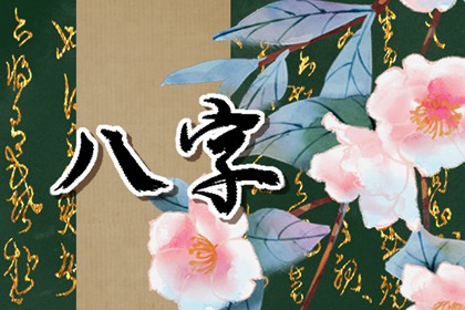 属鼠的选什么车牌号好 健康顺遂运势旺盛