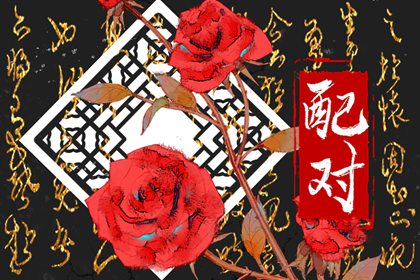 属兔和什么的最合财 生性豁达胸襟开阔