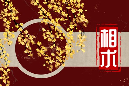 女人痣长在哪里最有福气、最富贵 手心发中眉后皆可