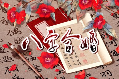 属兔买什么植物比较好 鸿运当头万年青