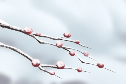 22年2月1号春节是几九第几天数九天养生注意事项 八字网