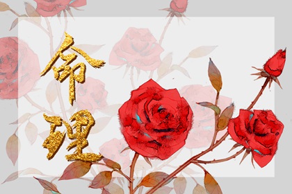 腊月初九出生的命运 乐观积极天性聪明