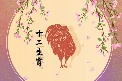 2022年属鸡人的命运 瑕不掩瑜努力奋斗