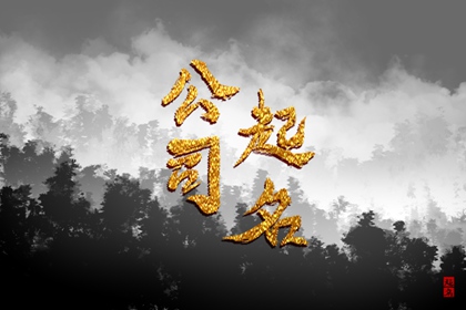 取一个招财又好听的金融公司名字 发展长久的公司名字