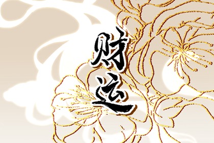 女命伤官最多有几个 外貌姣好聪明能干