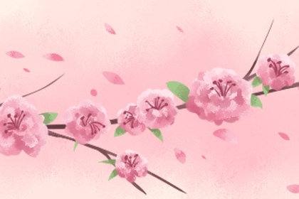 命带桃花好不好 身边桃花朵朵开