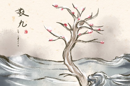 2022年2月21号是几九 七九第九天多晒后背