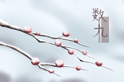 2022年3月3号是几九 九九第一天补肾养心