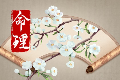 桃花旺的出生时辰 子时出生相貌气质出众