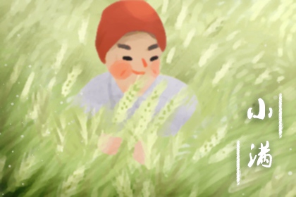 小满节气一候苦菜秀 苦菜已经枝叶繁茂