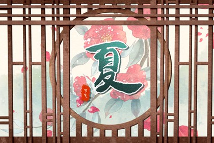 立夏之后的下一个节气是  立夏过后是小满