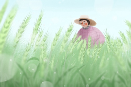 小满节气三候 苦菜靡草都有变化
