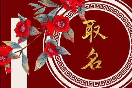 2022年6月份的虎宝宝取乳名 可爱又顺口的新生儿乳名