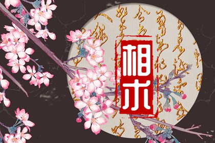 什么样的鼻子是蒜头鼻 典型的红尘中人