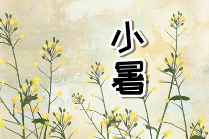 2022年小暑出生的宝宝好吗 吃穿不愁婚姻幸福