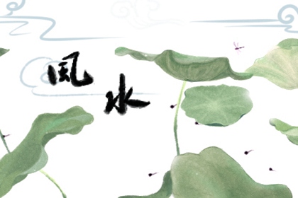 属龙选什么车牌号最旺 尾数为8顺风顺水