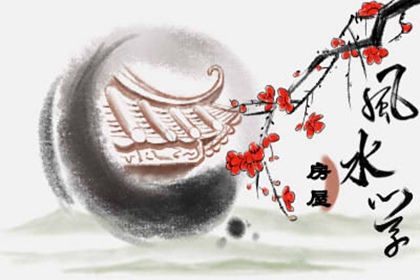 客厅什么树好看又好养 百合竹属于长寿吉祥树种