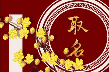 2022年7月13日出生女宝宝取名 起女孩学名的小技巧