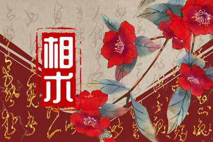手指有肉的人有福气吗 抓财手有福相