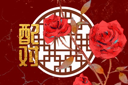 2023属兔本命年可以和狗结婚吗 化煞提运走入婚姻